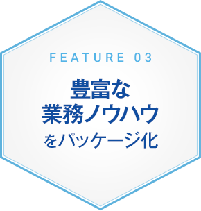 豊富な業務ノウハウをパッケージ化